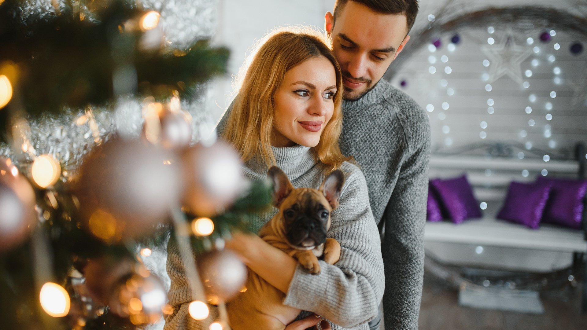 Scottish Property Market: A Year in Review and What to Expect in 2026